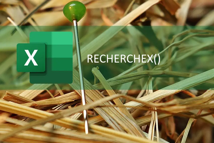 Une aiguille plantée dans la paille, avec le logo Excel et la fonction RECHERCHEX()